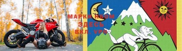 эйфоретик Новодвинск