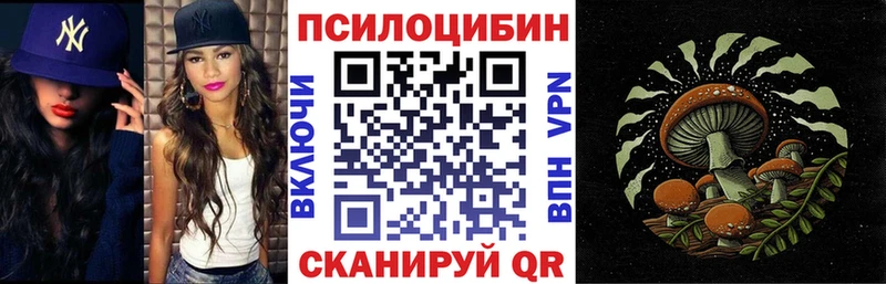 Галлюциногенные грибы Psilocybine cubensis  Кимры 