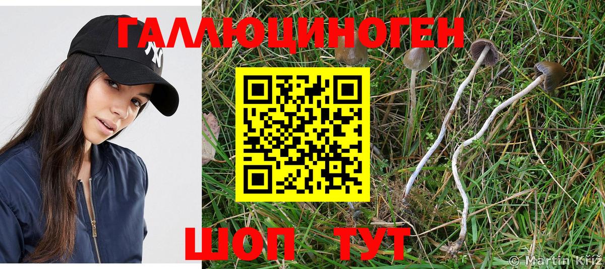 Кимры  Псилоцибиновые грибы Magic Shrooms  Вход с VPN 