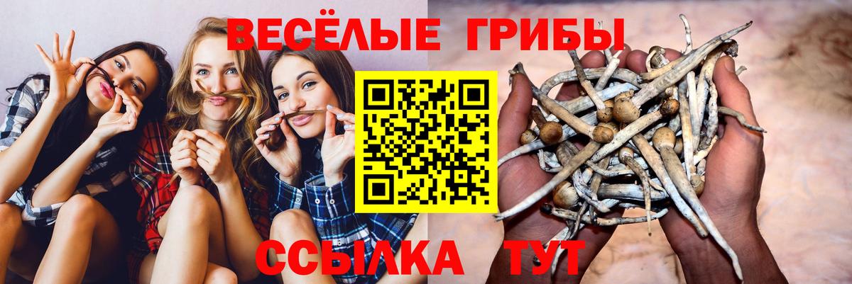 Галлюциногенные грибы MAGIC MUSHROOMS Кимры