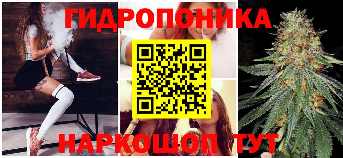 Кимры  Бошки марихуана семена  Вход с VPN  Каннабис THC 21%  Каннабис планчик 